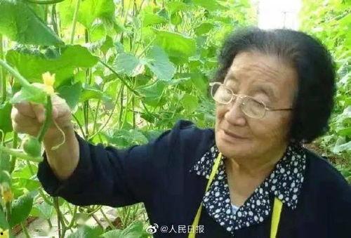 娱乐吃瓜酱一半是植物人,揭秘娱乐吃瓜酱背后的绿色秘密