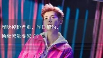 娱乐吃瓜酱照片,揭秘明星幕后生活，照片曝光惊人幕后真相