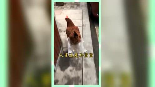 吃瓜群众的娱乐网名大全,吃瓜群众娱乐网名大全，笑料百出！