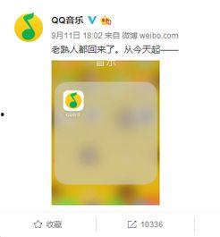 娱乐吃瓜音乐是什么软件,揭秘热门音乐软件背后的故事
