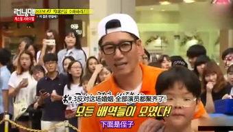 综艺娱乐吃瓜背景图片高清,高清吃瓜图鉴，揭秘幕后风云