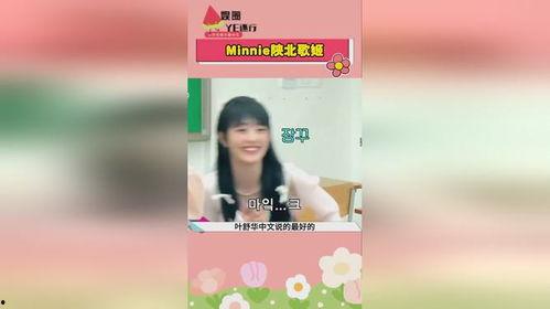 娱乐吃瓜录,吃瓜录背后的精彩故事