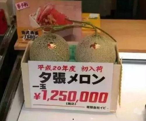 娱乐吃瓜群众号,吃瓜群众号带你探秘明星幕后故事