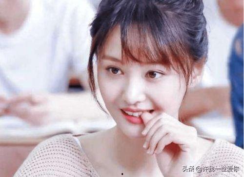 娱乐圈爽文吃瓜完结