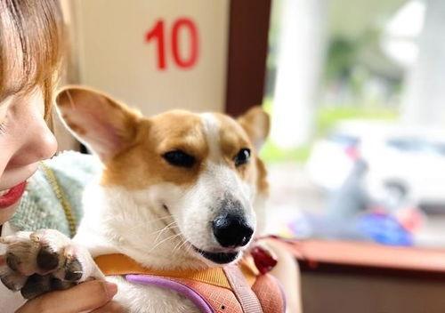 热门八卦娱乐吃瓜搞笑