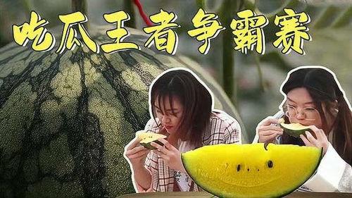 娱乐吃瓜君121期,揭秘娱乐圈最新热点，带你领略明星幕后故事