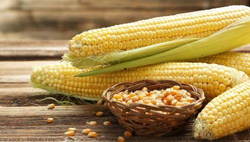 娱乐吃瓜酱玉米视频,娱乐吃瓜酱带你领略趣味横生的娱乐世界