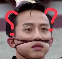 娱乐吃瓜君孙俪,娱乐圈的吃瓜高手，揭秘明星幕后故事